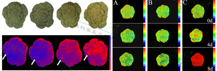 ��ҳ| ����֮��hy590���¹ٷ���վ