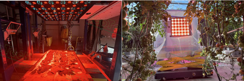 ��ҳ| ����֮��hy590���¹ٷ���վ