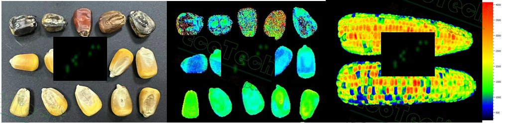 ��ҳ| ����֮��hy590���¹ٷ���վ