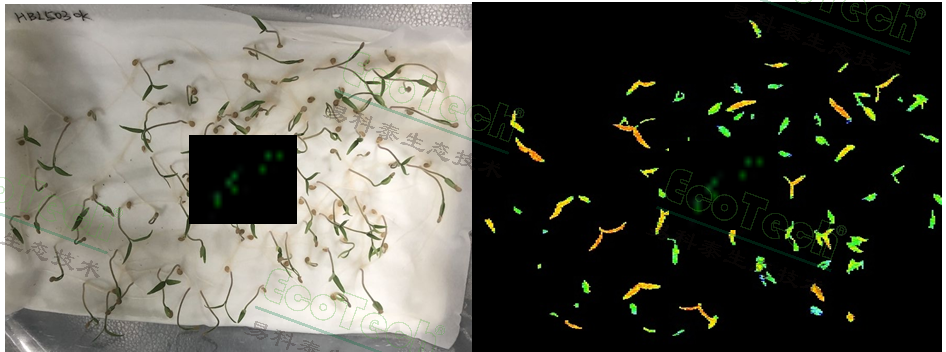 ��ҳ| ����֮��hy590���¹ٷ���վ