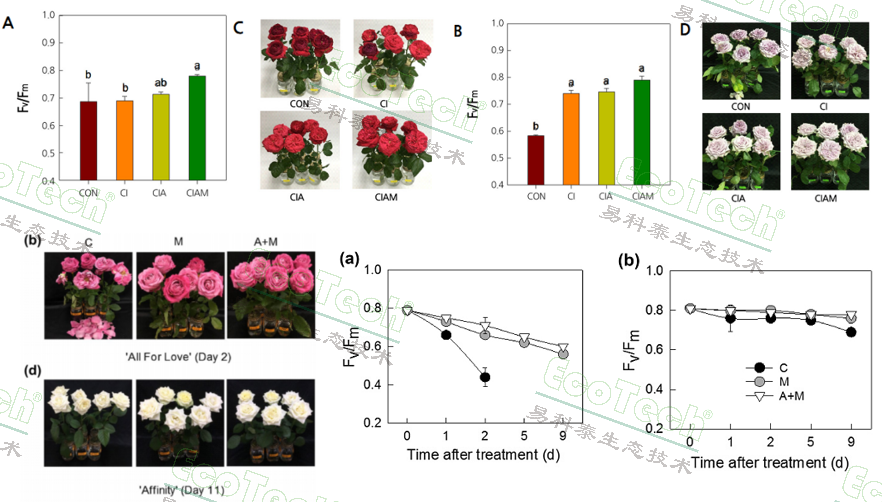Ê×Ò³| º£ÑóÖ®Éñhy590×îйٷ½ÍøÕ¾