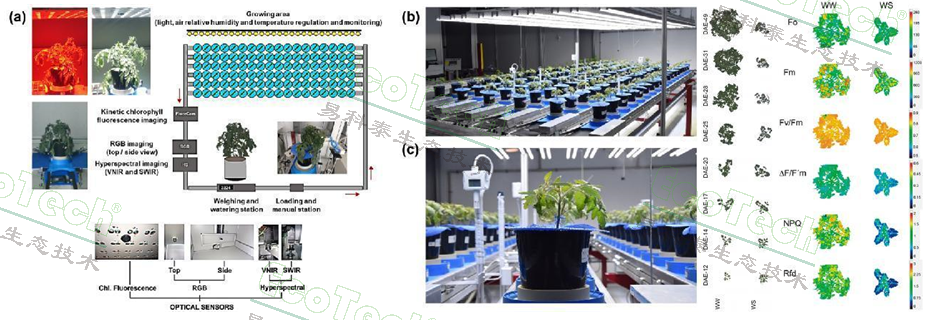 首页| 海洋之神hy590最新官方网站