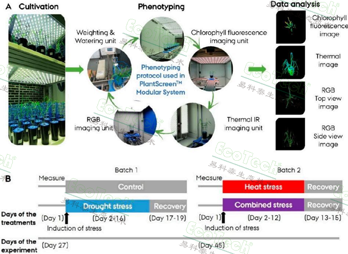 首页| 海洋之神hy590最新官方网站