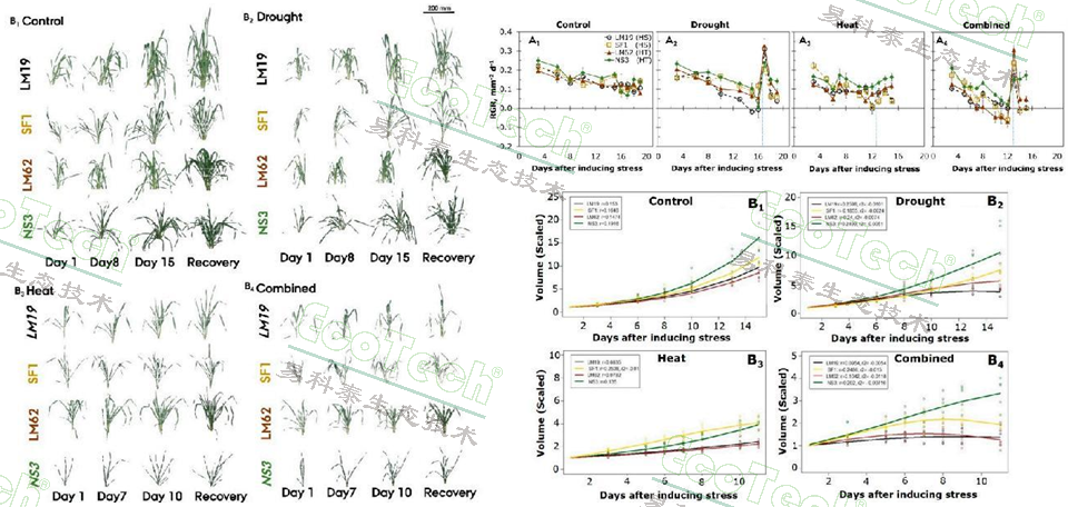 首页| 海洋之神hy590最新官方网站