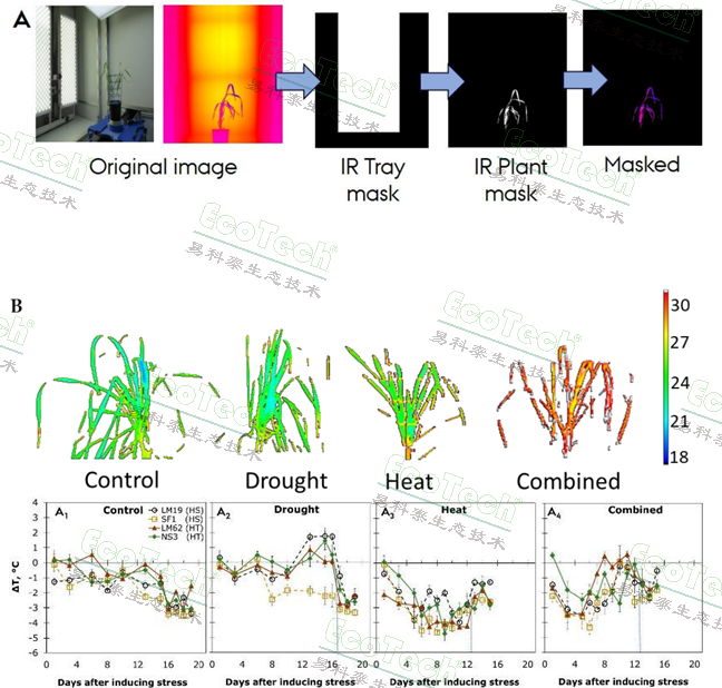 首页| 海洋之神hy590最新官方网站