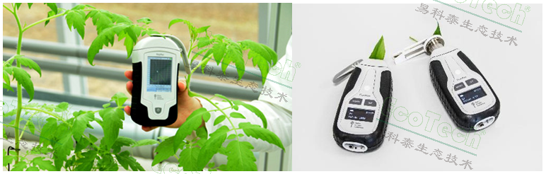 首页| 海洋之神hy590最新官方网站