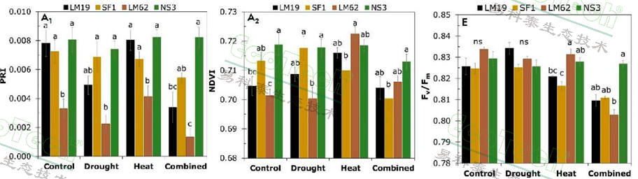 首页| 海洋之神hy590最新官方网站