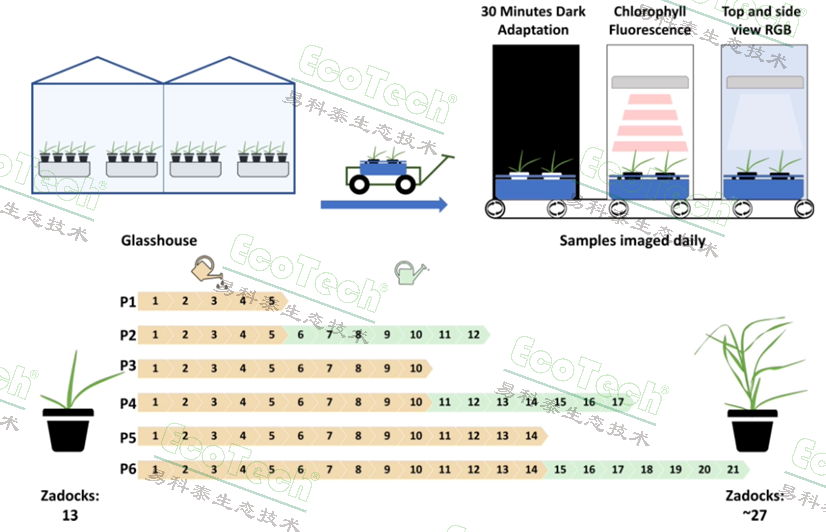 ��ҳ| ����֮��hy590���¹ٷ���վ