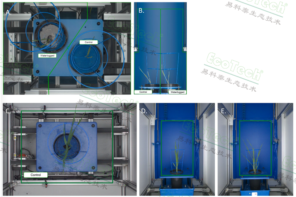 ��ҳ| ����֮��hy590���¹ٷ���վ