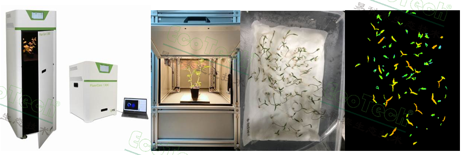 ��ҳ| ����֮��hy590���¹ٷ���վ