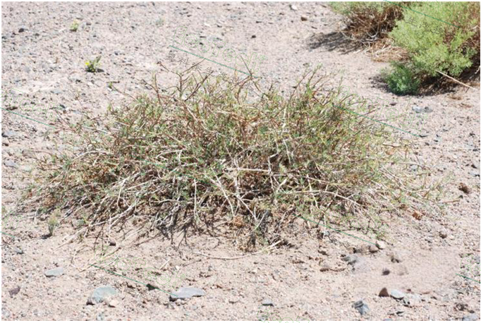 ��ҳ| ����֮��hy590���¹ٷ���վ