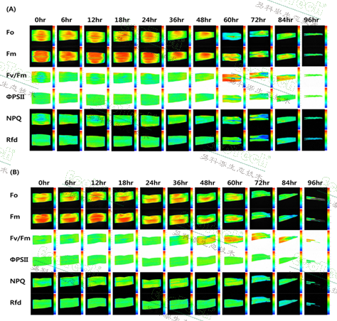 ��ҳ| ����֮��hy590���¹ٷ���վ