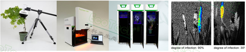 ��ҳ| ����֮��hy590���¹ٷ���վ