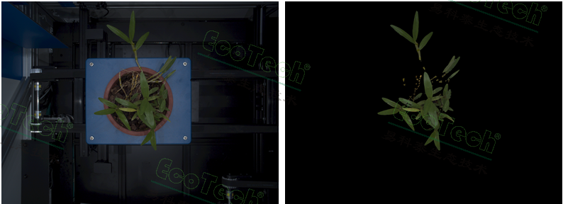 ��ҳ| ����֮��hy590���¹ٷ���վ