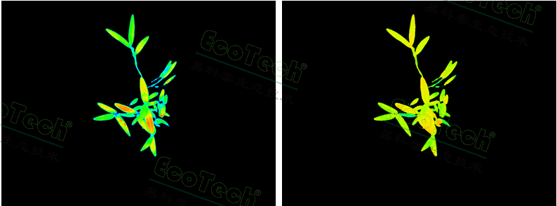 ��ҳ| ����֮��hy590���¹ٷ���վ