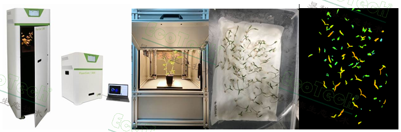 ��ҳ| ����֮��hy590���¹ٷ���վ