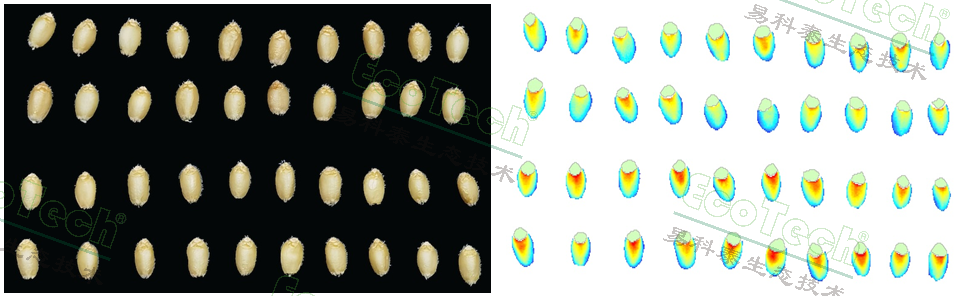 ��ҳ| ����֮��hy590���¹ٷ���վ