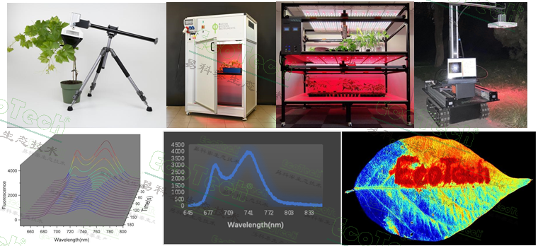 ��ҳ| ����֮��hy590���¹ٷ���վ