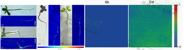 ��ҳ| ����֮��hy590���¹ٷ���վ