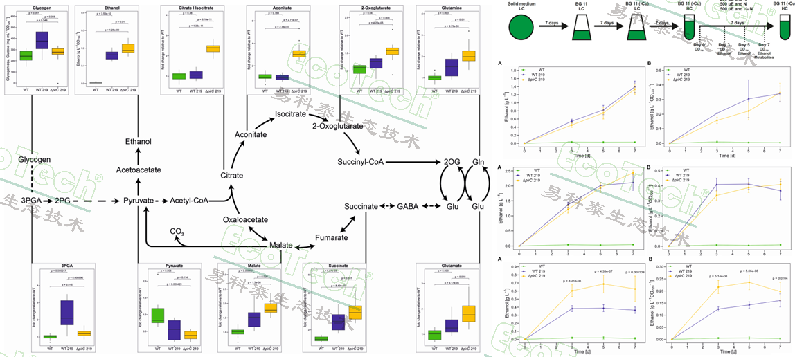 ��ҳ| ����֮��hy590���¹ٷ���վ