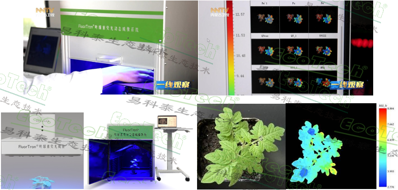 ��ҳ| ����֮��hy590���¹ٷ���վ