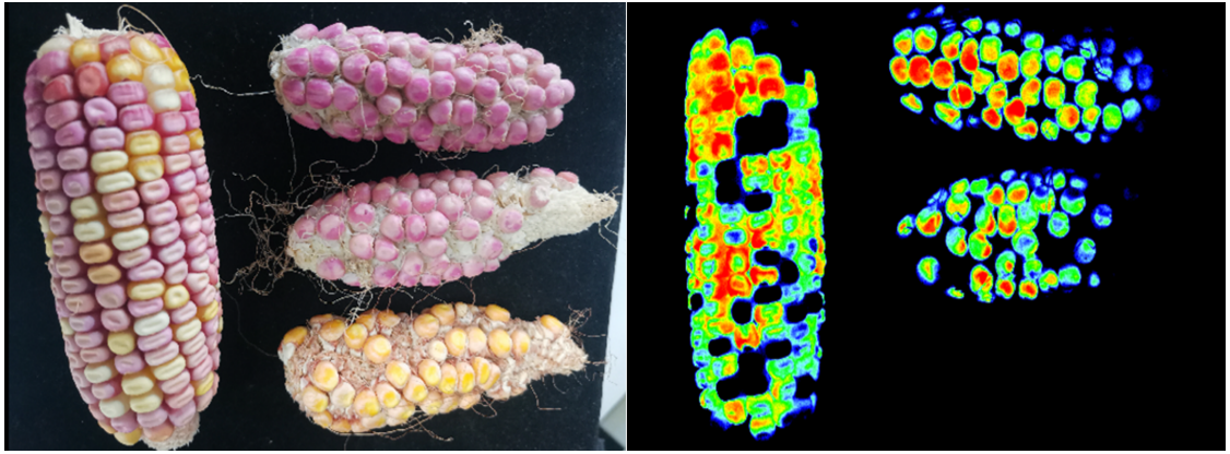 微信截图_20221123111006.png 微信截图_20221123111006.png