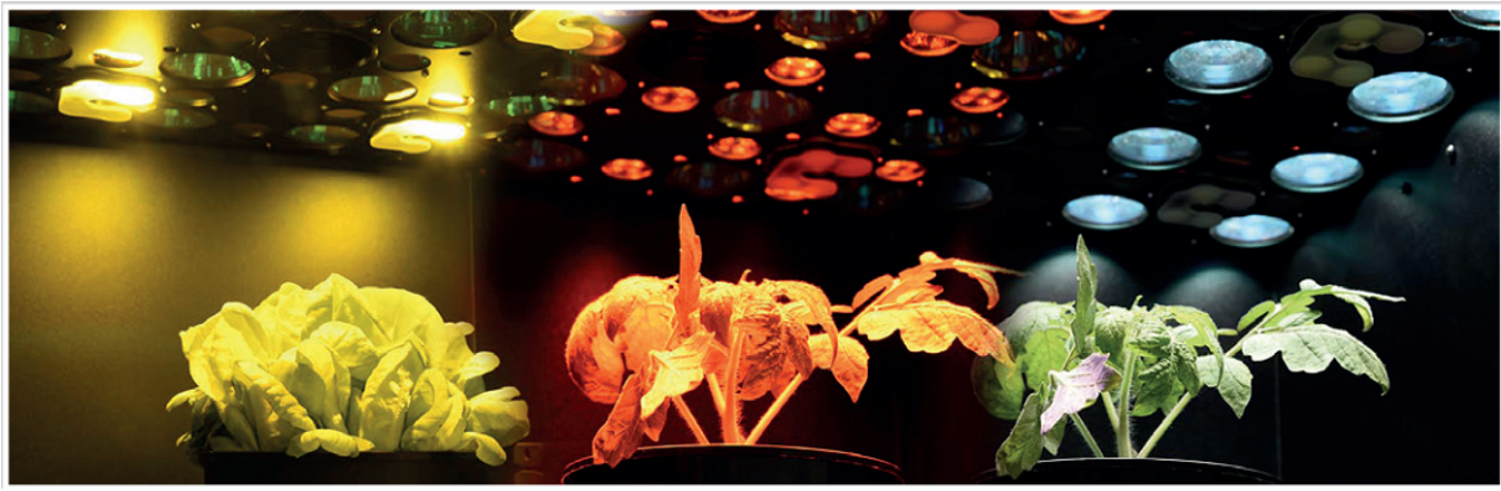 微信截图_20221123111035.png 微信截图_20221123111035.png