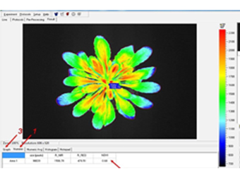 ģ������������ʽֲ����ͳ�������ϵͳ