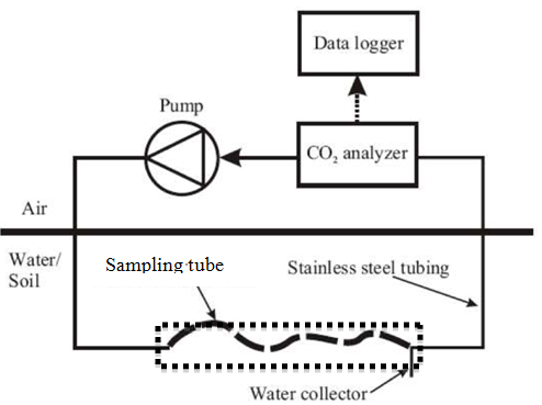 SCG-ESʪ��CO2ԭλ�ݶȼ��ϵͳ