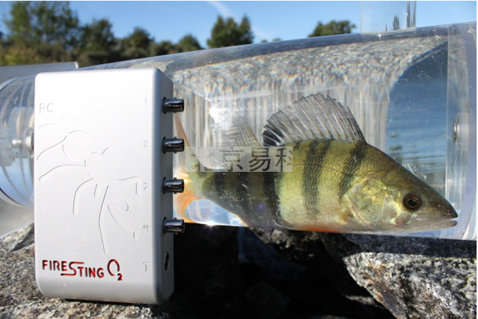 Aqua-RFˮ�����������������л�����ͻ����Ƽƻ�