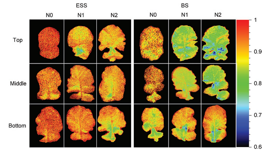 ΢ÐŽØÍ¼_20220613142810.png ΢ÐŽØÍ¼_20220613142810.png