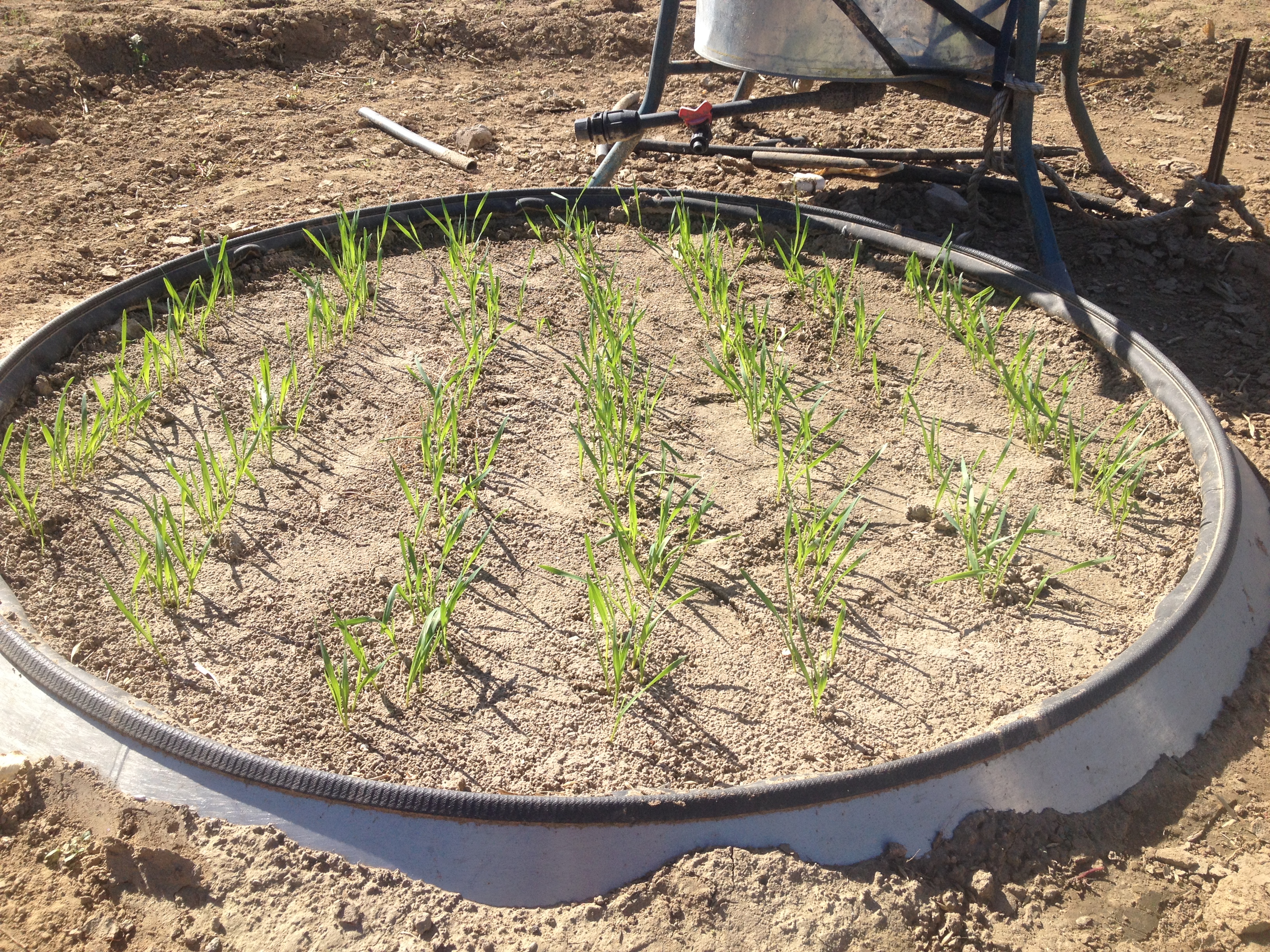 EcoTron�๦ЧС��������