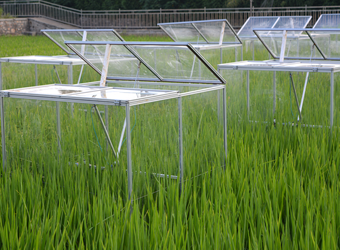 OTC-Autoԭλ��in-situ��Ⱥ����-�������ϵͳ