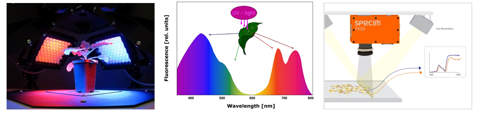 ��ҳ| ����֮��hy590���¹ٷ���վ