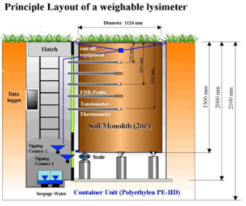 UGT����������