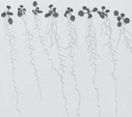 clip_image008.jpg δÃüÃû